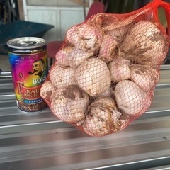 ニンニク1kの画像