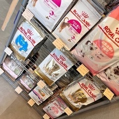 ペットショップ　えくにゃん - 福岡市