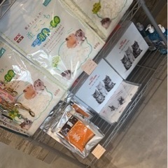 ペットショップ　えくにゃん − 福岡県