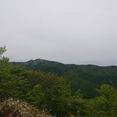 猿投山ハイキング・6/2