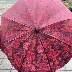 婦人傘の画像