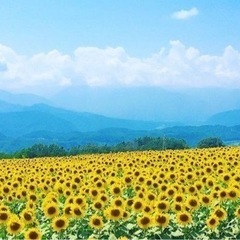 🌈お墓のいらない生前葬、自然葬🌳 - 冠婚葬祭