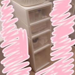 【急募!!】ニトリ 収納ケース
