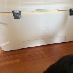 igloo 156L クーラーボックスの画像
