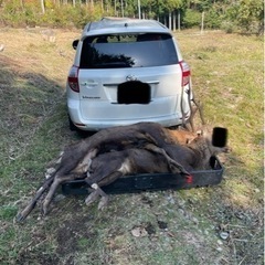 車のパーツ 外装、車外用品