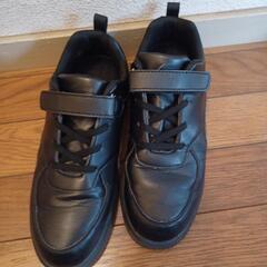 シーイン 子供 マジックテープ スニーカー 軽量 ブラックの画像