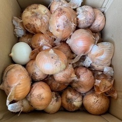 食品