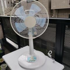 美品 2019  家電 季節、空調家電 扇風機