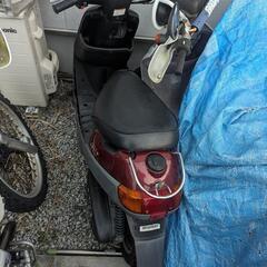 未整備現状車両販売開始します！　ライブディオとかとか。の画像
