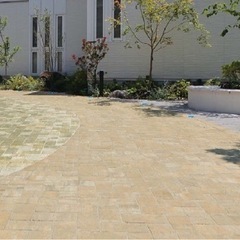 ユニソン　カッシア　アルテベージュ　平板の画像