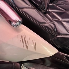 バイク ヤマハ マグザム250の画像