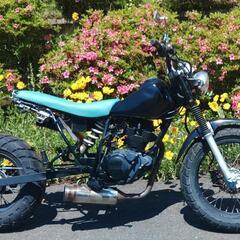 TW200　後期　DG07　ロンスイ　(No.2143)