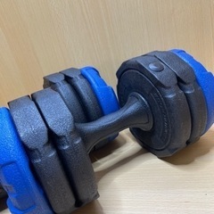 リーディングエッジ　アーミーダンベルの画像
