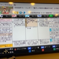 全録 パナソニック ディーガ　DIGA DMR-BXT3000の画像