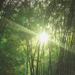 まもなく開催！★6/23(日)目黒【印瞑想】リラックスと体軸づくり　自律神経を整えるボディワークの画像