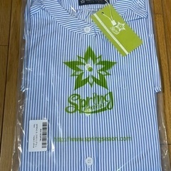 シャツ ブラウス レディース トップス チュニック 長袖 カジュアル コットンの画像