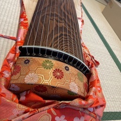 琴