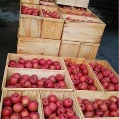 青森りんご🍎箱　大量販売可能 ！卸販売可。の画像