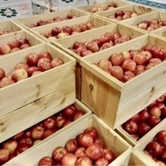 りんご箱🍎卸販売　土日も空いてるの画像