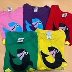 フィッシャーズTシャツセット