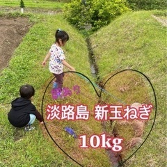 【訳あり】淡路島産 新玉ねぎ 5キロ 10キロ