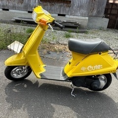 【決まりました】ヤマハキュート