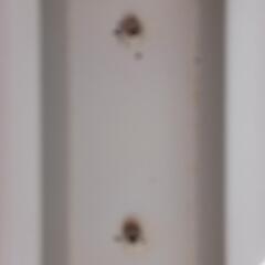 スポーツ フィットネス、トレーニングの画像