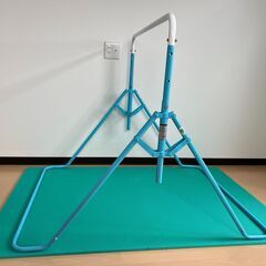 マスセット室内鉄棒　