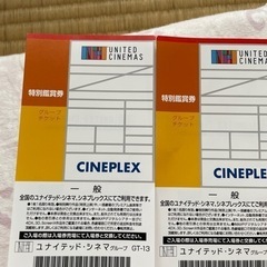 ユナイテッドシネマ鑑賞券　一般２枚