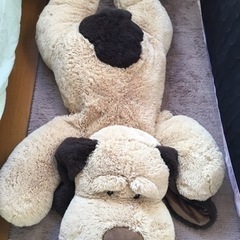 大きなぬいぐるみ🐶
の画像