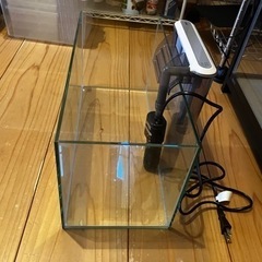 GEX45cmスリム水槽と虫かご