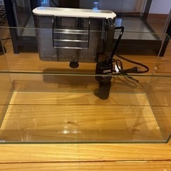 GEX45cmスリム水槽と虫かごの画像