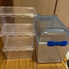 GEX45cmスリム水槽と虫かごの画像