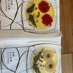 京都よつば屋　5点SETの画像