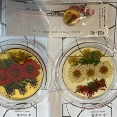 京都よつば屋　5点SETの画像
