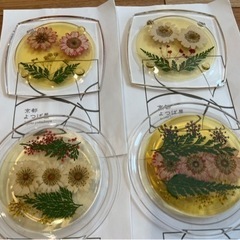 京都よつば屋　5点SETの画像