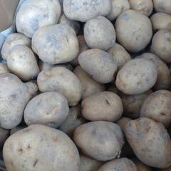 🌞男爵　5kg🥔