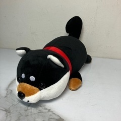 まめしばの中古が安い!激安で譲ります・無料であげます|ジモティー まめしばの中古が安い!激安で譲ります・無料であげます|ジモティー