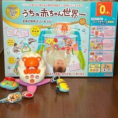 知育玩具 うちの赤ちゃん世界一（メリー＆ジム）