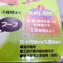 ピープル　全身の知育　パーフェクト　幼児用　知育玩具　8か月～3歳頃まで　知育遊び　13種類以上　室内専用　ブーブー　ウォーカーの画像