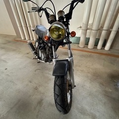 エイプ100