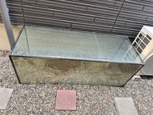 【引き取り限定】コトブキレグラス　120cm水槽