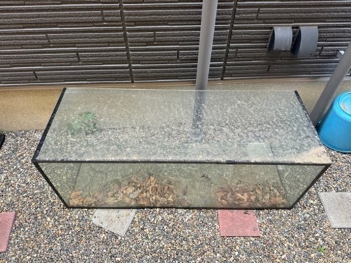 【引き取り限定】コトブキレグラス　120cm水槽