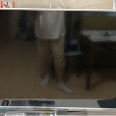 家電 テレビ 液晶テレビ