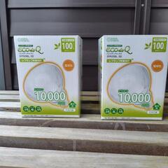 電球　レフランプ