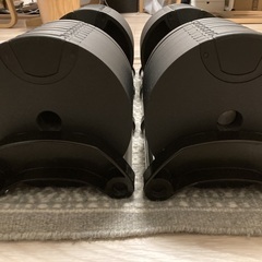 ★中古美麗品★可変ダンベル「FEXBELL32kg」2個セットの画像