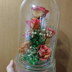 レンデフローレル　ブリザードフラワー　の画像