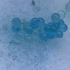 お取引相手決まりました！ご参加ありがとうございましたの画像