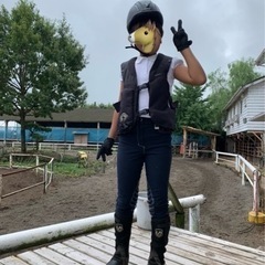 乗馬アイテムセットの画像
