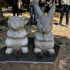 通話好きの中年さんお話しましょ〜 - チャット